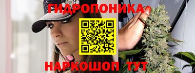 PSILOCYBIN Конаково