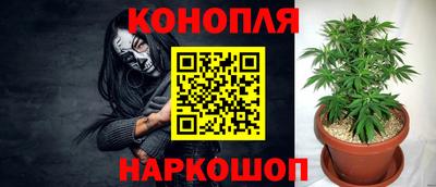 PSILOCYBIN Конаково