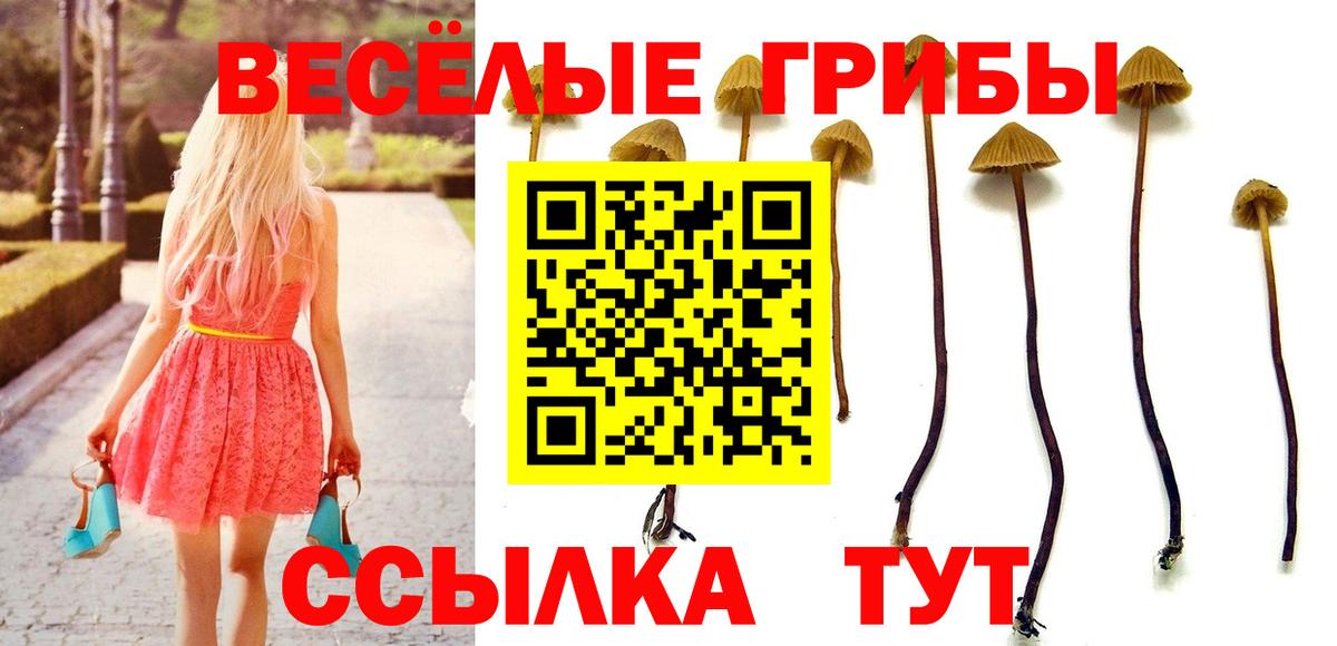 Кропоткин  Псилоцибиновые грибы Cubensis  Галлюциногенные грибы Psilocybe  Вход с VPN 