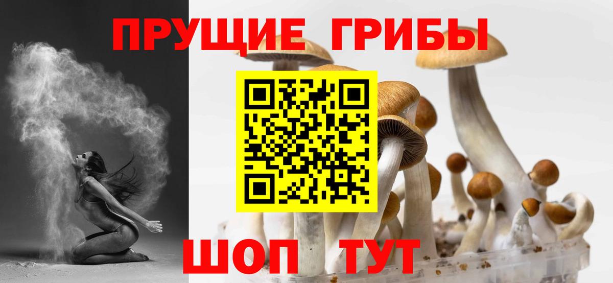 Галлюциногенные грибы Psilocybine cubensis Кропоткин
